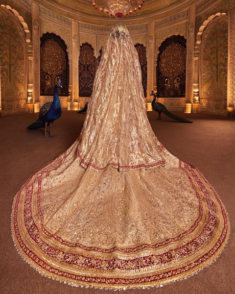 radhika merchant wedding dress